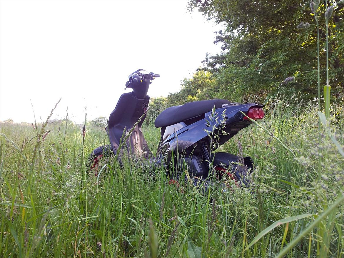 PGO HOT 50 billede 3