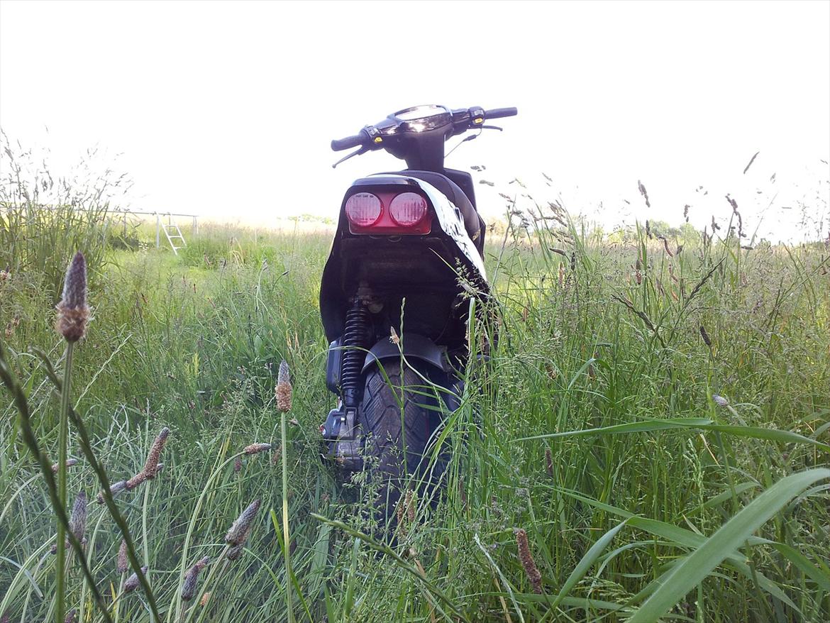 PGO HOT 50 billede 5