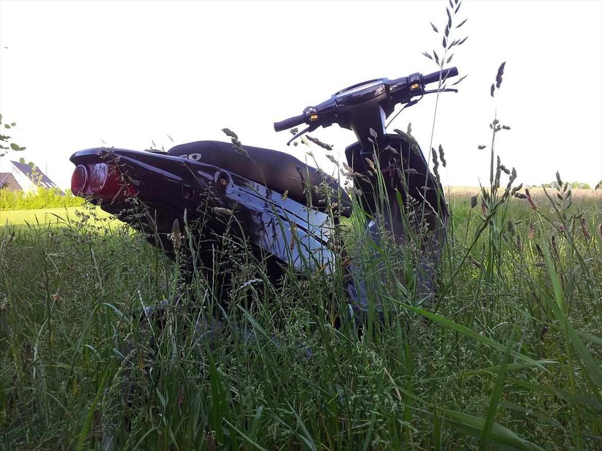 PGO HOT 50 billede 4