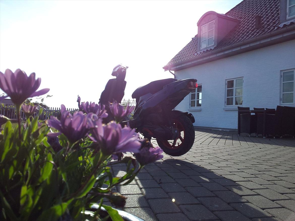 PGO HOT 50 billede 11