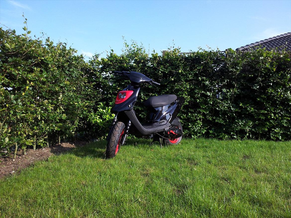 PGO HOT 50 billede 12