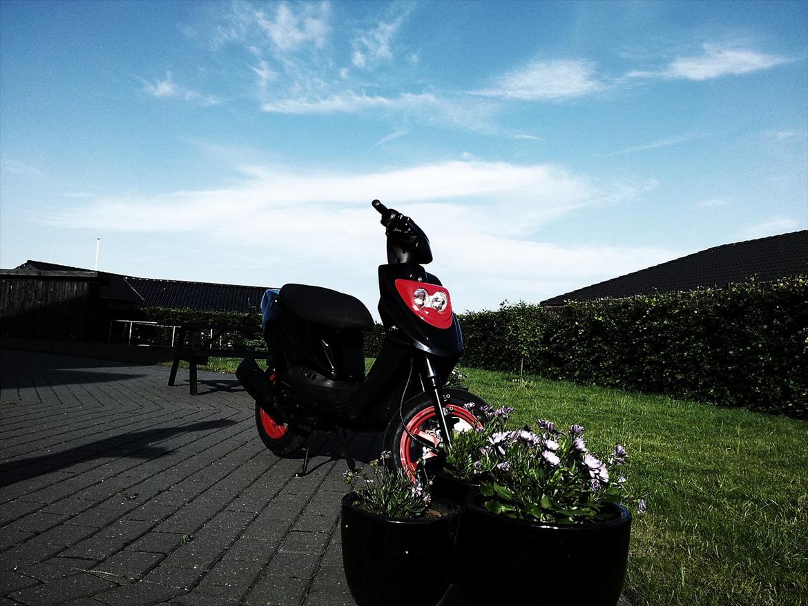 PGO HOT 50 billede 10