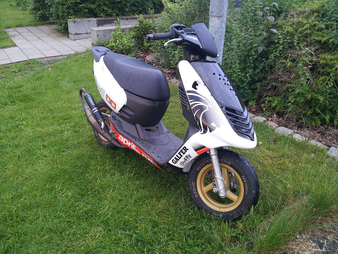 Aprilia sonic LC 19.56HK billede 1