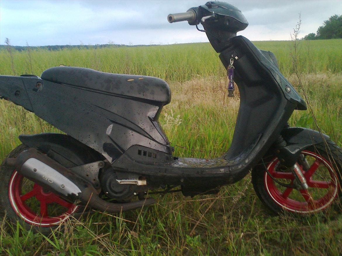 PGO Hot 50 Genopbygning billede 10