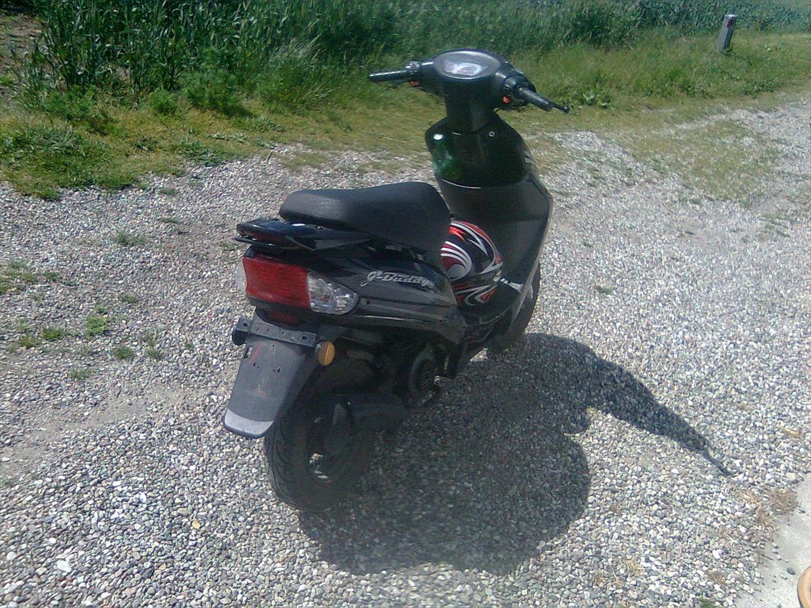 Giantco G Buddy billede 2