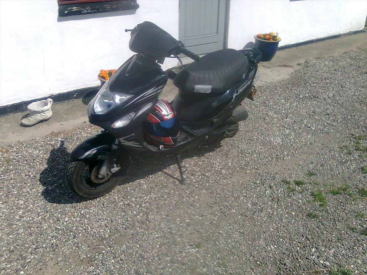 Giantco G Buddy billede 4