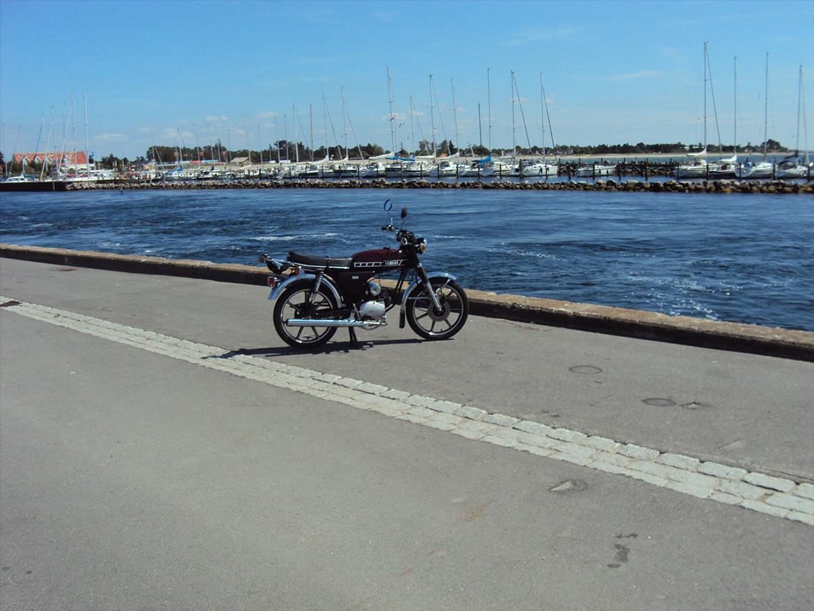 Yamaha Fs1 dx billede 4