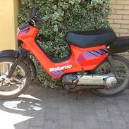 Honda wallaroo