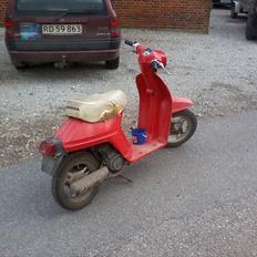 Honda Melody Mini NT50