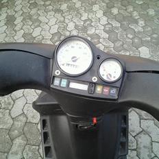 Gilera stalker