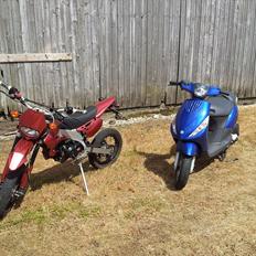 Apollo Orion   29 ""EFTER"" BRÆNDT NED.....