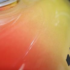 Yamaha FS1 4 Gear Dx