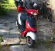 Pexma 50cc