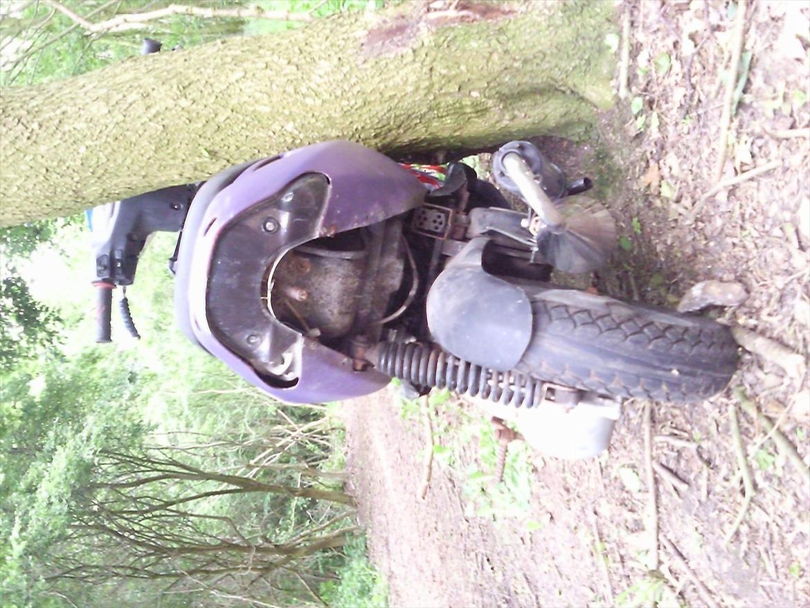 Aprilia sonic billede 4