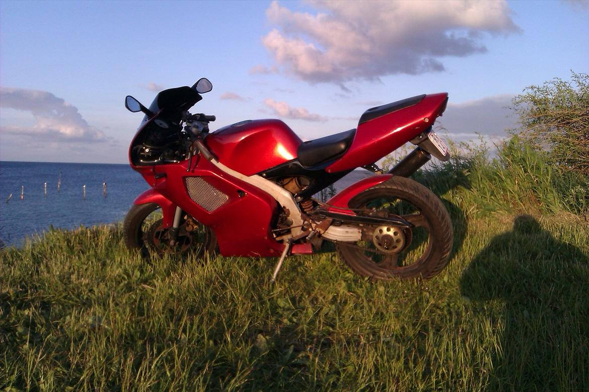 Aprilia RS50 - en tur ved vandet billede 6