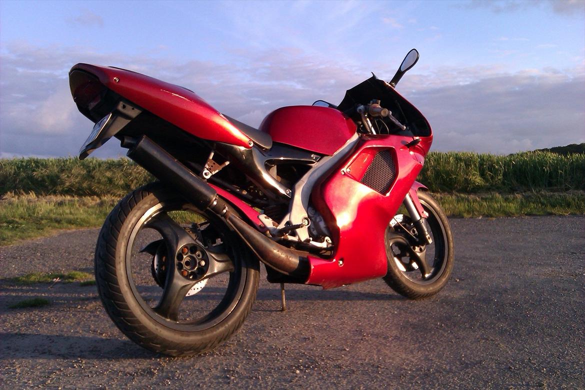 Aprilia RS50 billede 8
