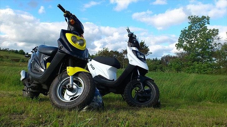 PGO Hot 50 (Brumbazz) billede 20