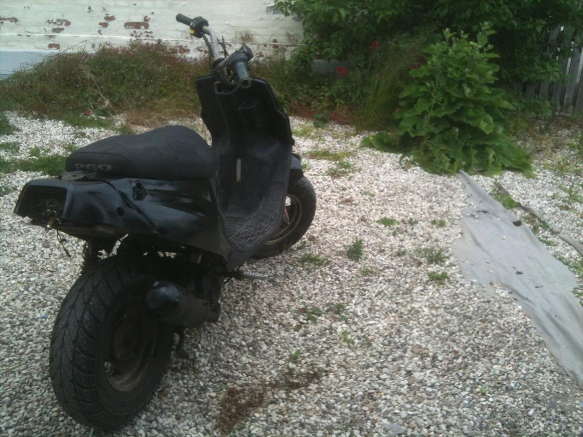 PGO big max billede 7