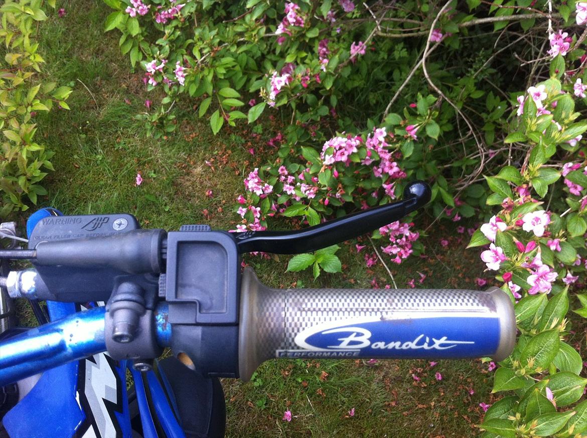 Suzuki RMX billede 16