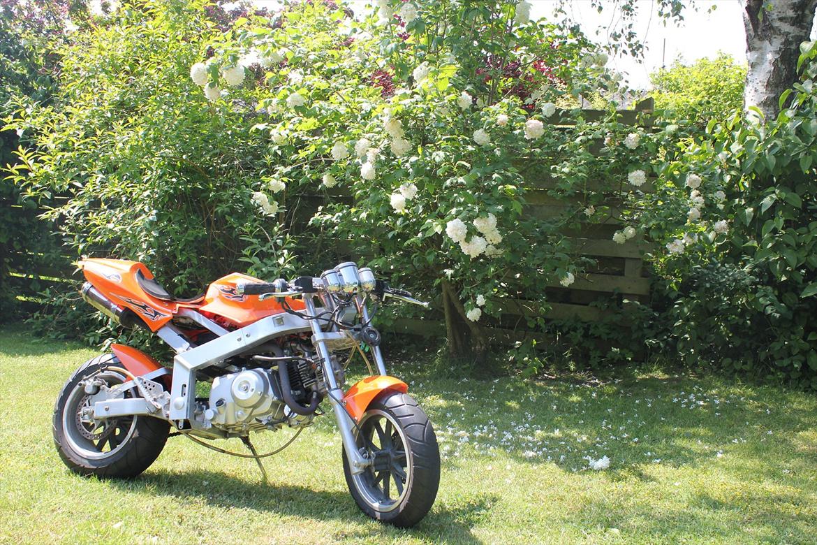 MiniBike X6 "VILDBASSEN" billede 1