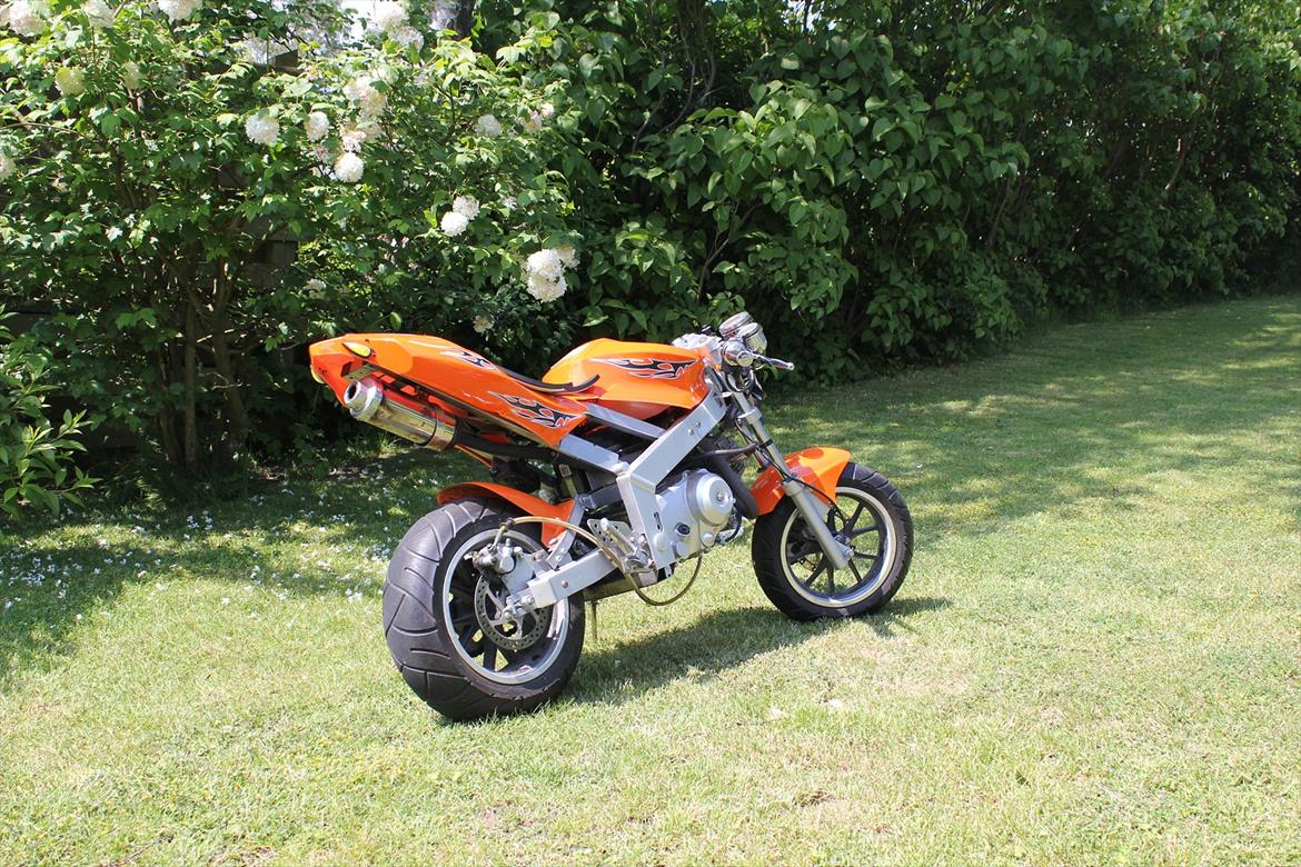 MiniBike X6 "VILDBASSEN" billede 3