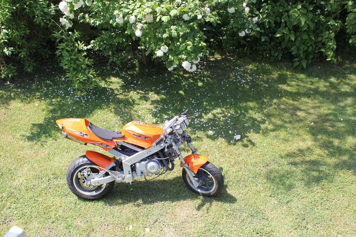 MiniBike X6 "VILDBASSEN" billede 4