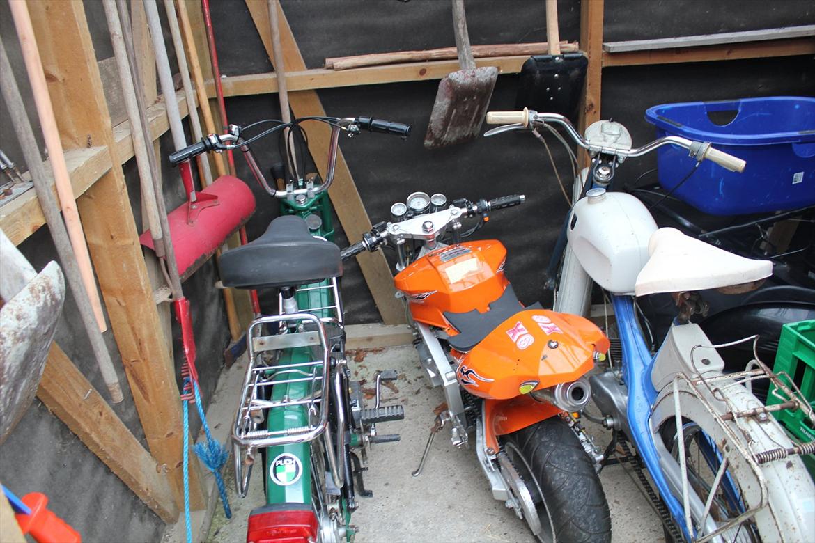 MiniBike X6 "VILDBASSEN" - • Hele samlingen billede 10