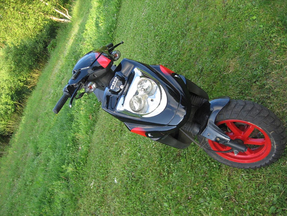 PGO Hot 50 PMPS billede 4