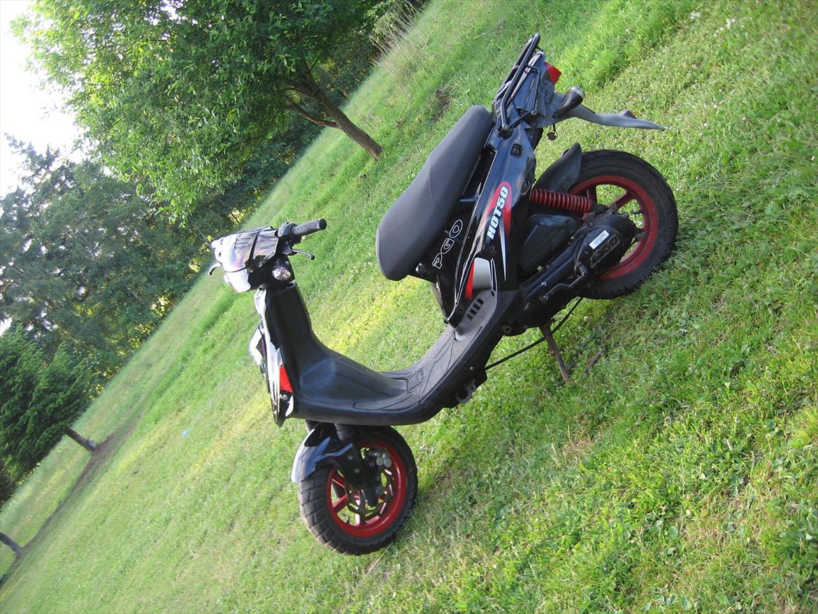 PGO Hot 50 PMPS billede 7
