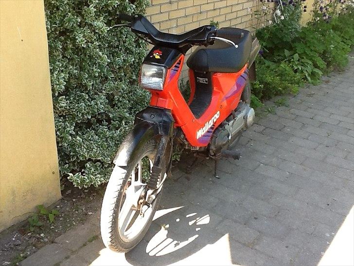 Honda wallaroo billede 2