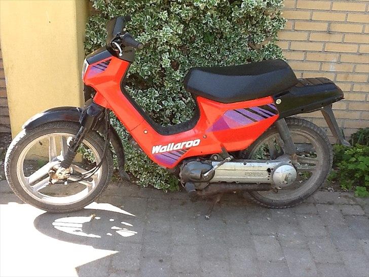 Honda wallaroo billede 3