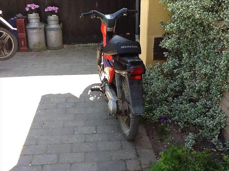 Honda wallaroo billede 5