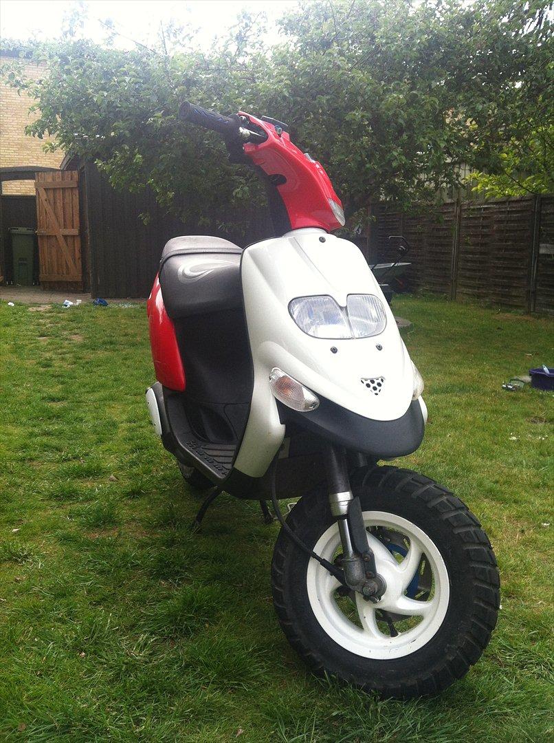 Gilera Stalker - Før renovering billede 14