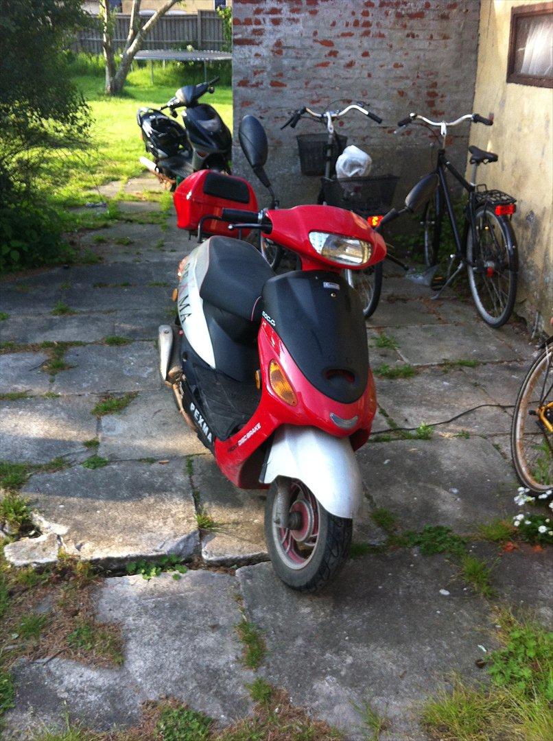 Pexma 50cc billede 1