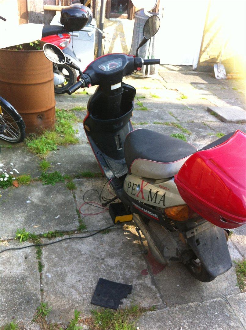 Pexma 50cc billede 2