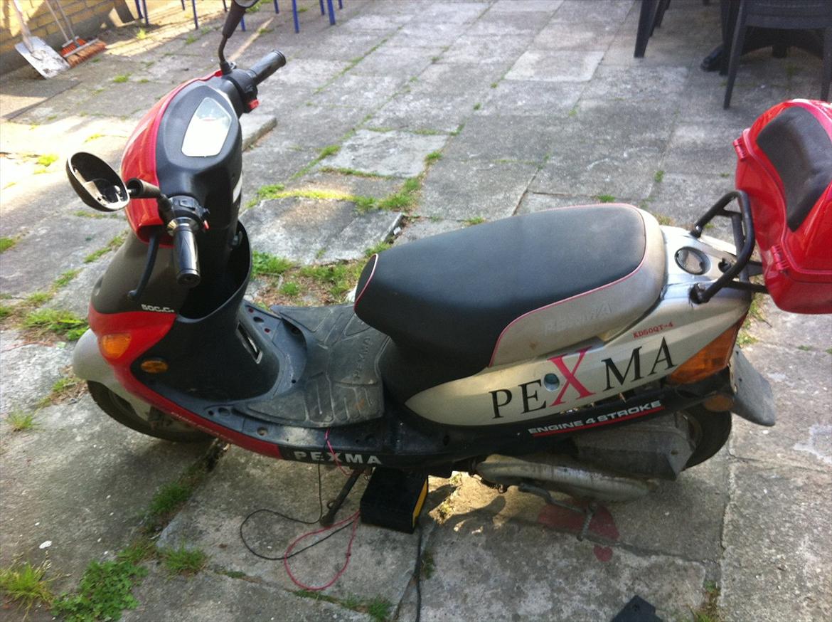 Pexma 50cc billede 4