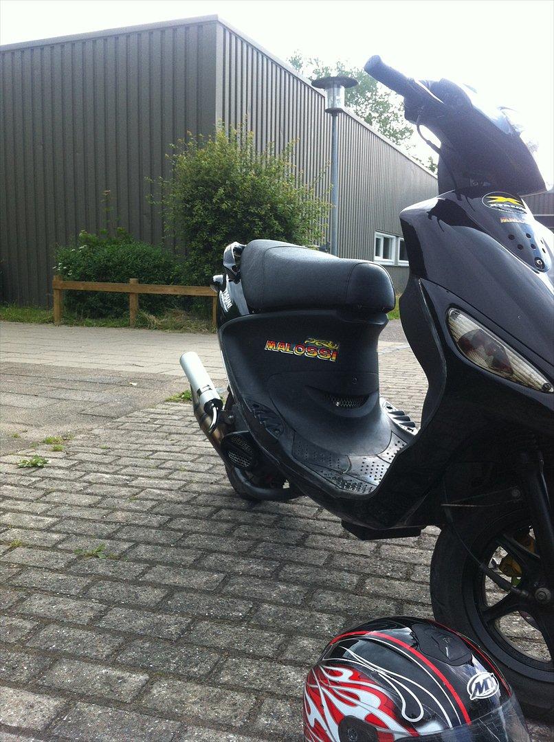 PGO black magic billede 13