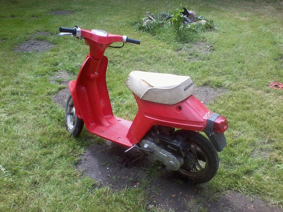 Honda Melody Mini NT50 billede 9