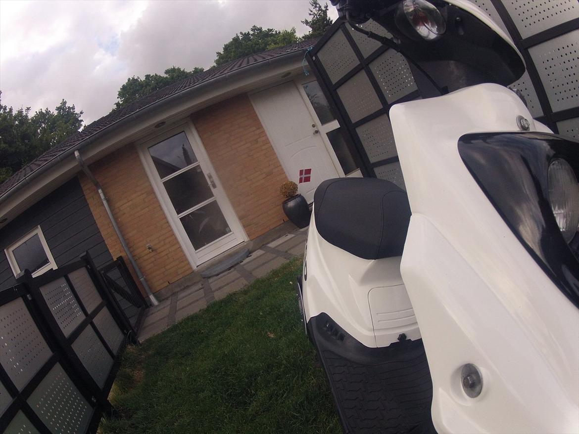 PGO HOT 50 (BLACK THUNDER) billede 13