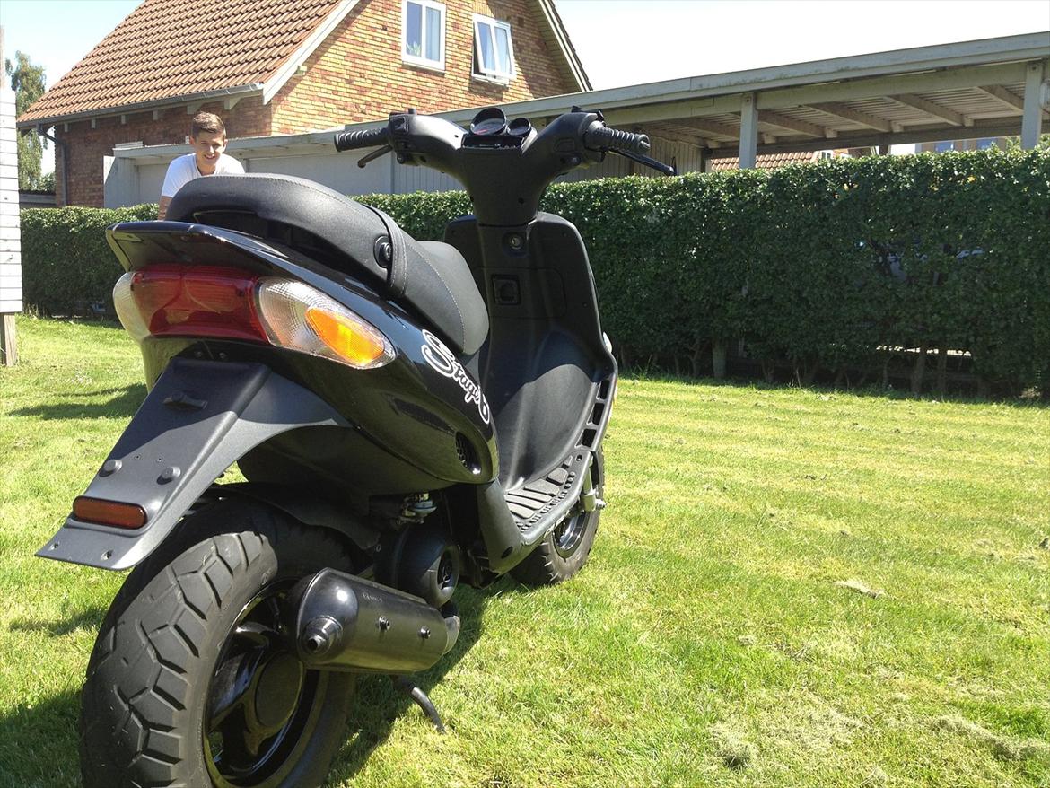 Gilera Stalker (Savin) billede 7