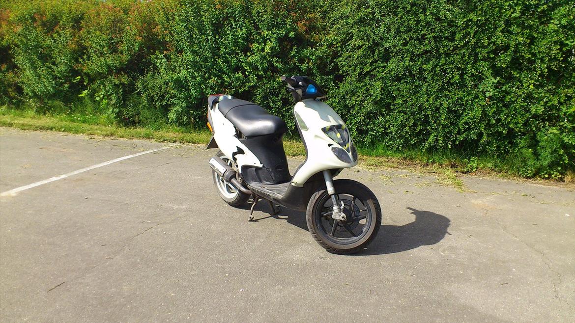 Piaggio MC3 billede 8