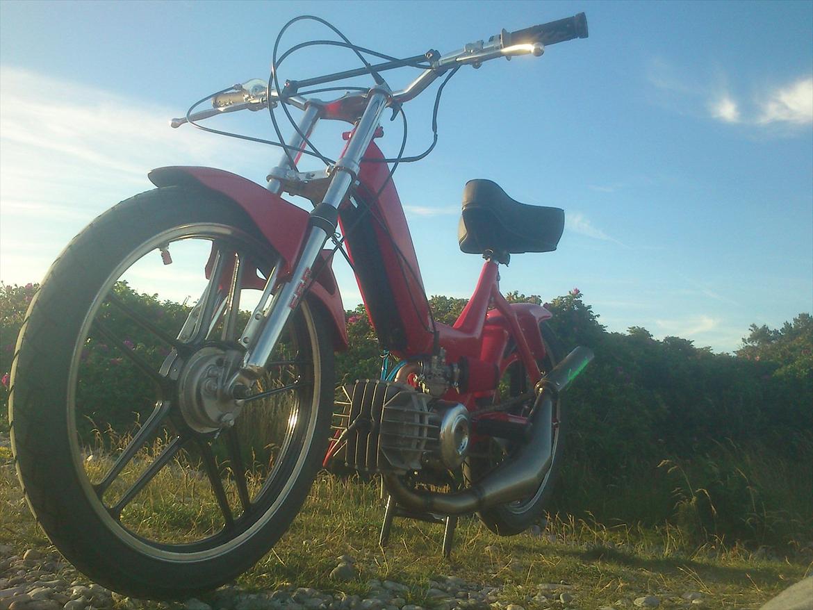 Puch  maxi billede 6