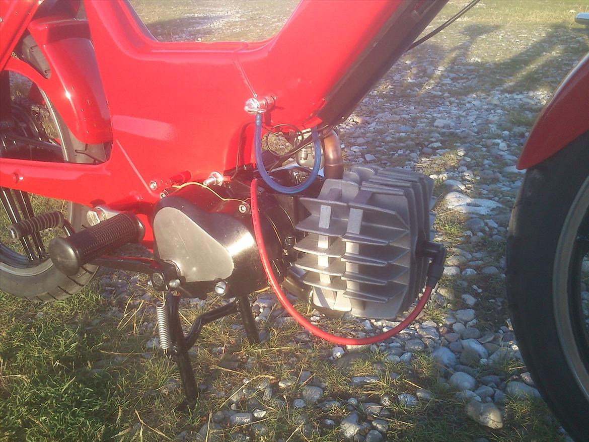 Puch  maxi billede 12