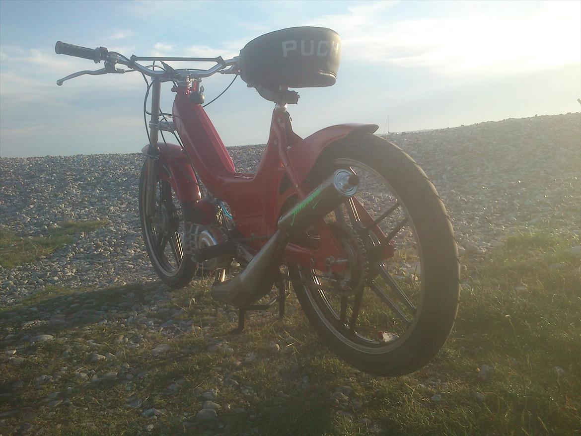Puch  maxi billede 13