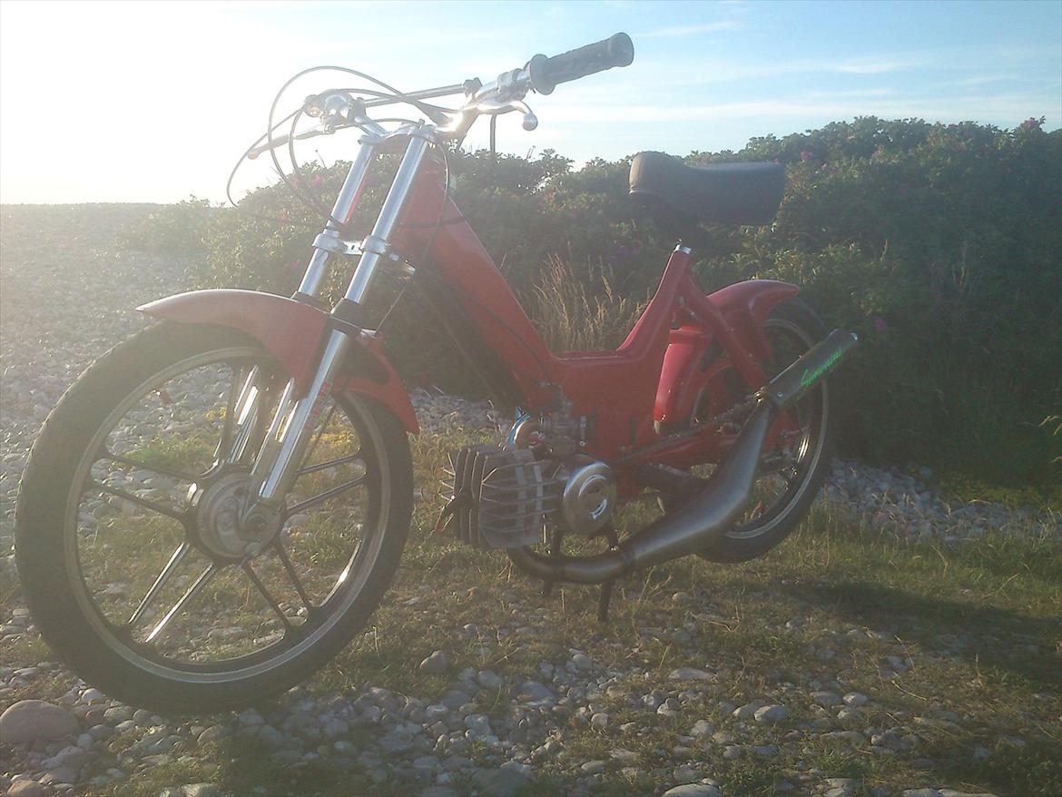 Puch  maxi billede 18