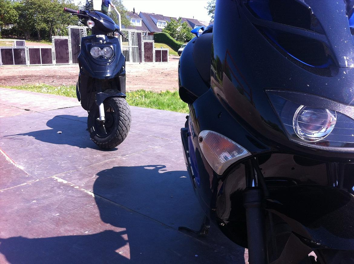 Aprilia SR 50 DITECH. LC. DD. billede 8