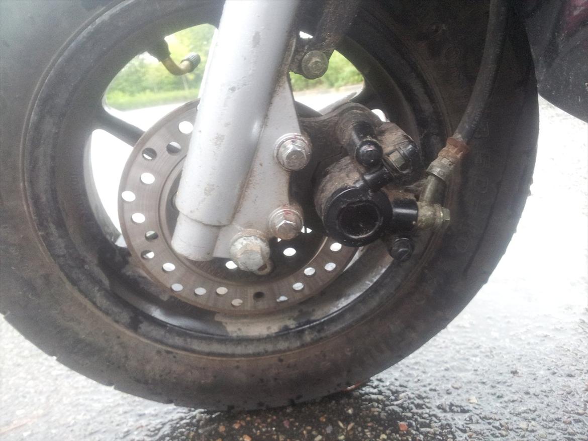 VGA Digita 51 billede 16