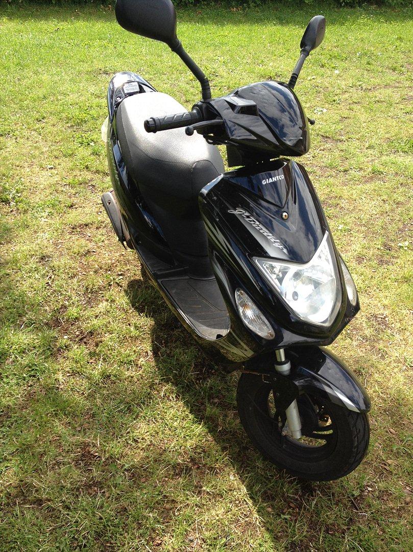 Giantco g-buddy billede 2