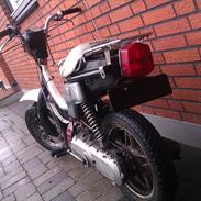 Suzuki Fz-50