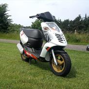 Aprilia sonic